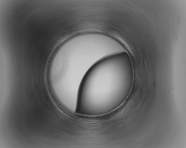 X0000114560677200910191012