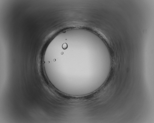 X0000114560679200910191012