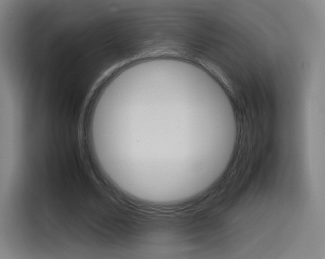X0000114560680200910191012