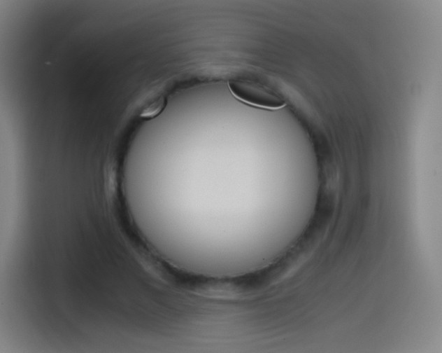 X0000114560685200910191012