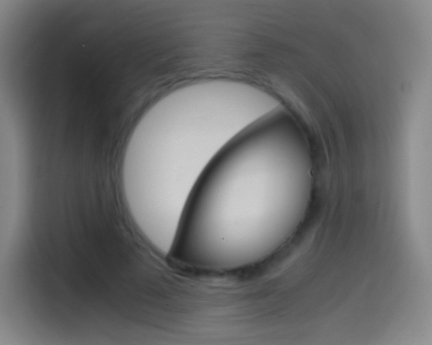 X0000114560689200910191012
