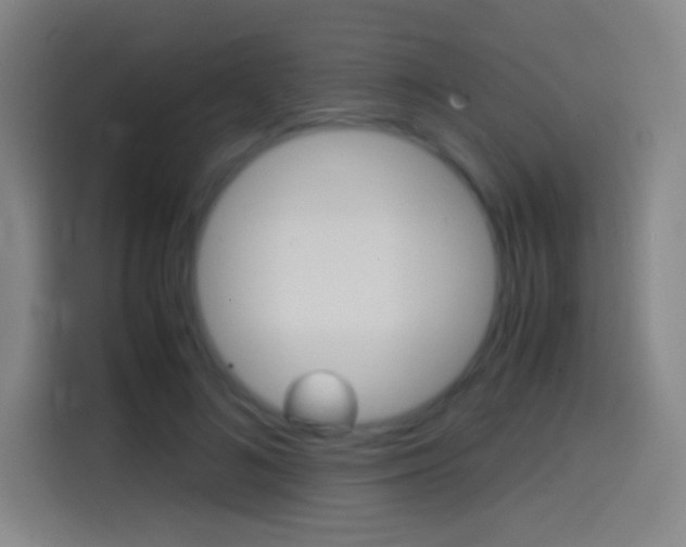 X0000114560692200910191011