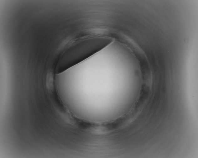 X0000114560696200910191011