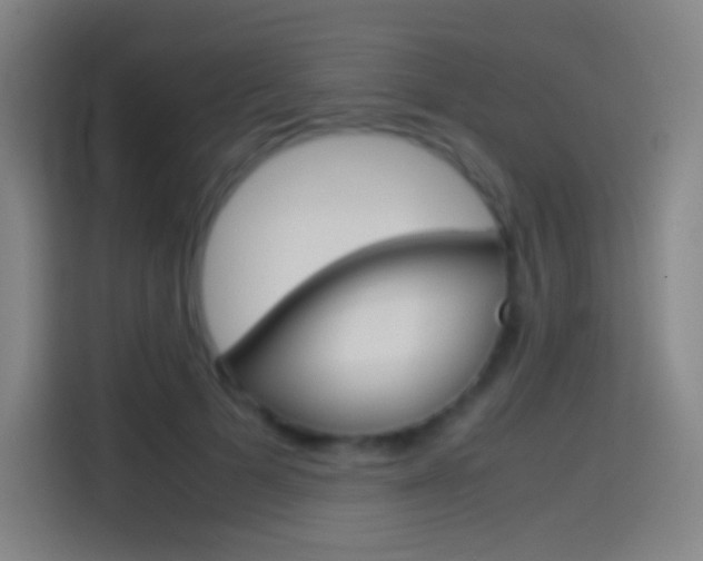 X0000114560697200910191011