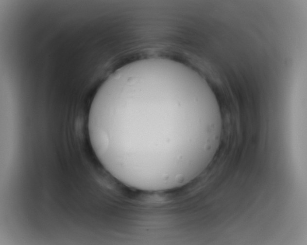 X0000114560698200910191011