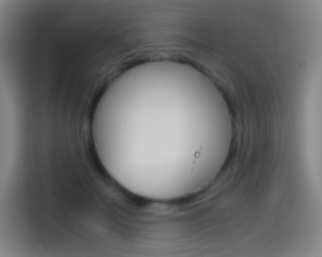 X0000114560699200910191011