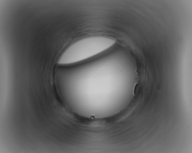X0000114560700200910191011