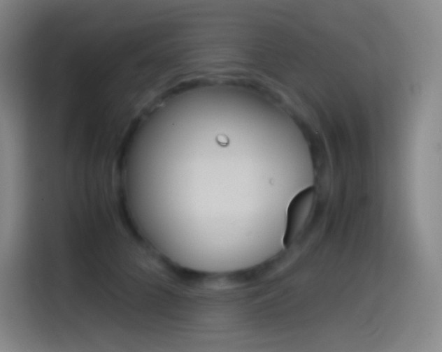 X0000114560704200910191011