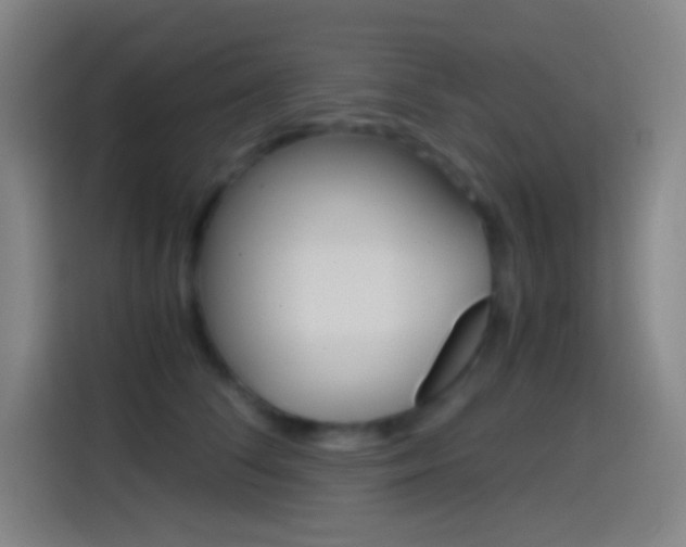 X0000114560708200910191011