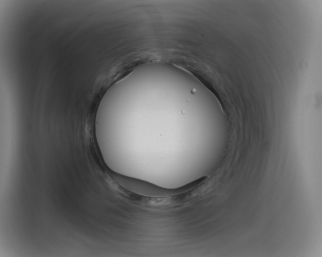 X0000114560720200910191011