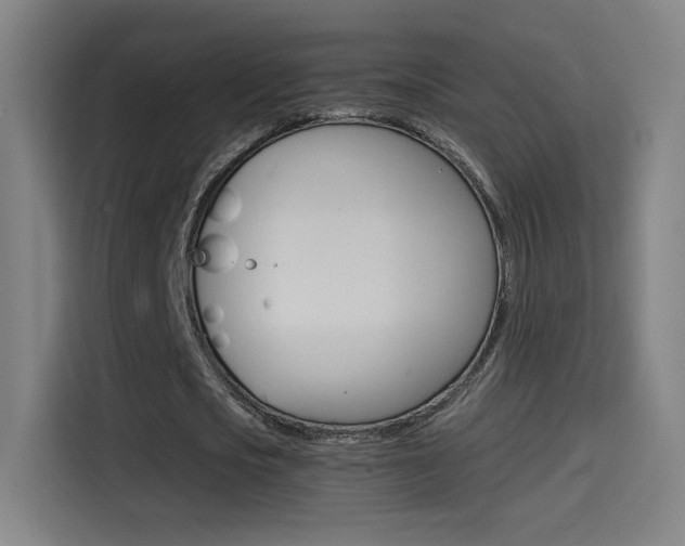 X0000114560721200910191011