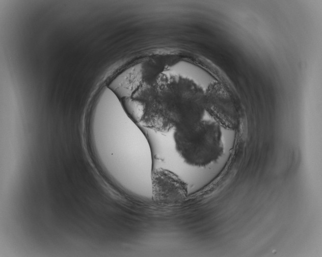 X0000114560725200910191011
