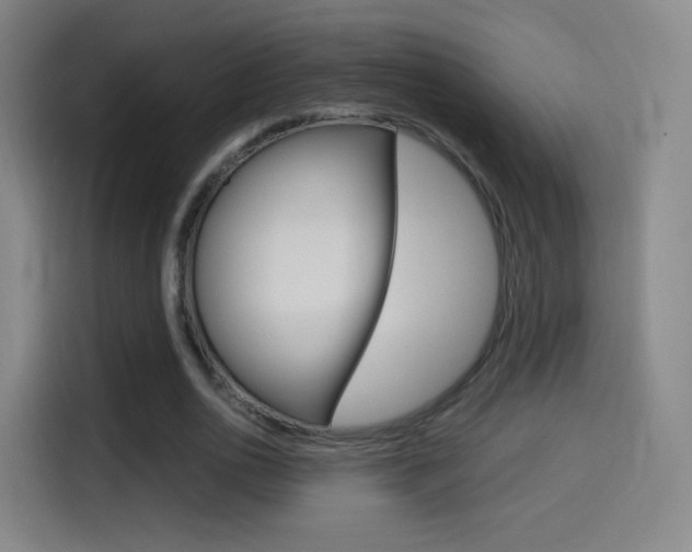X0000114560726200910191011