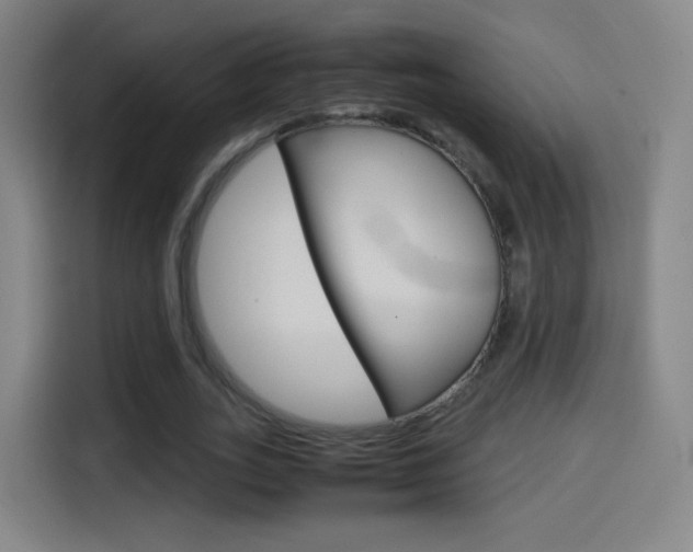 X0000114560727200910191011