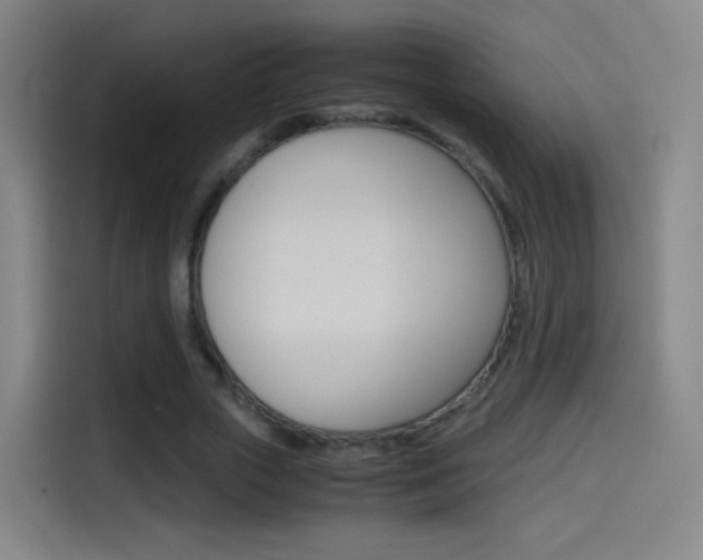 X0000114560729200910191011