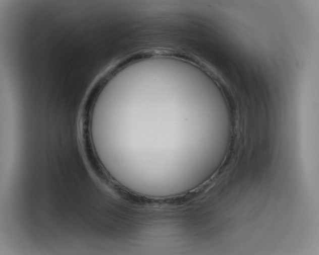 X0000114560730200910191011