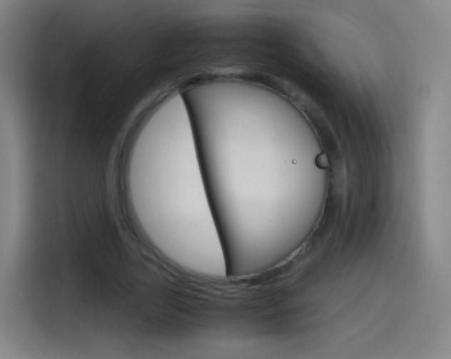 X0000114560731200910191011