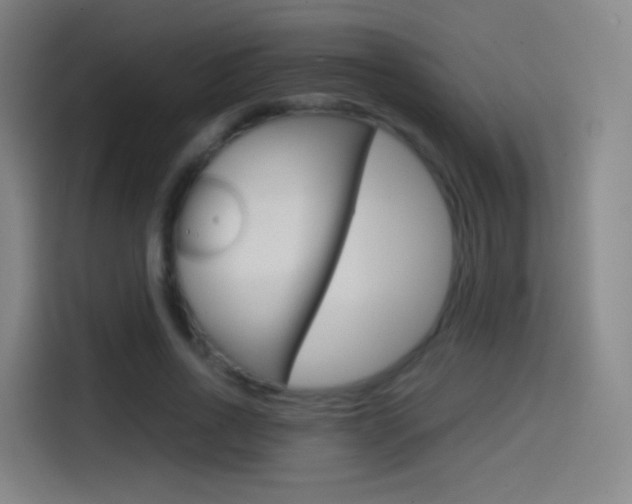 X0000114560734200910191011