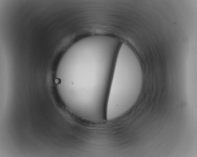X0000114560738200910191011