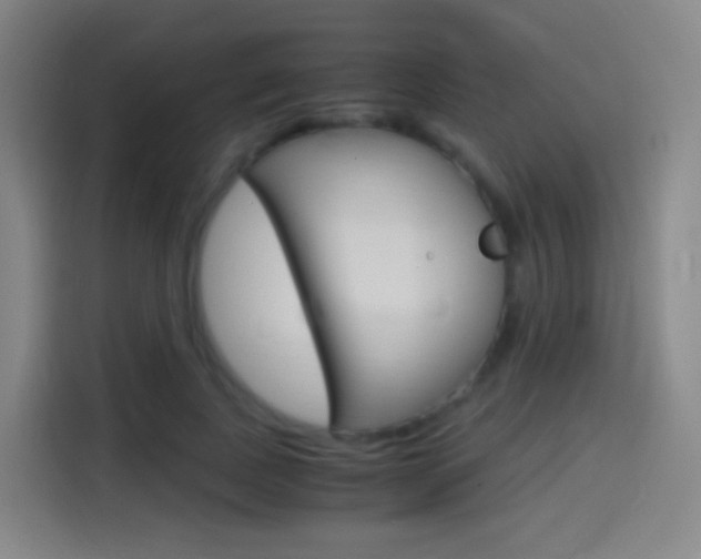 X0000114560739200910191011
