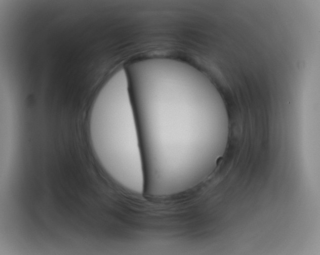 X0000114560743200910191011