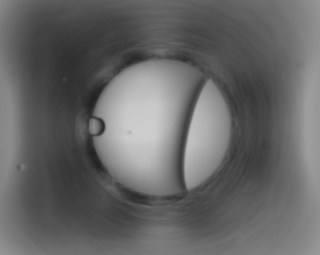 X0000114560746200910191011