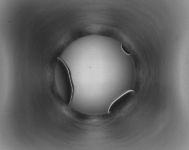 X0000114560750200910191011