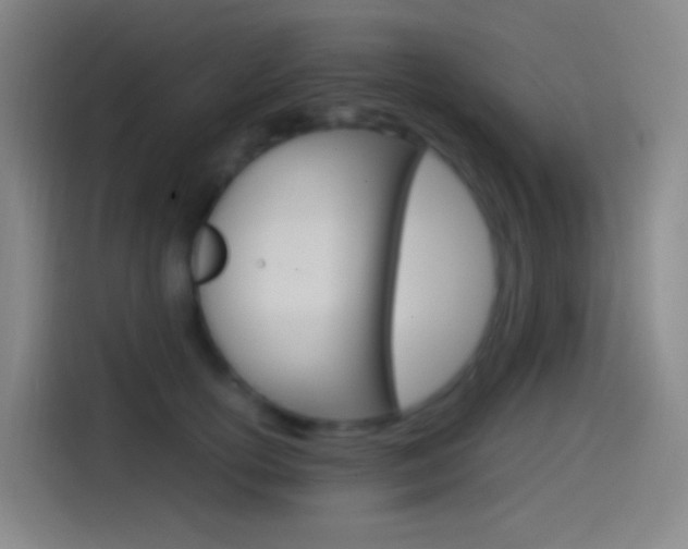 X0000114560754200910191011