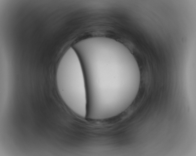 X0000114560755200910191011