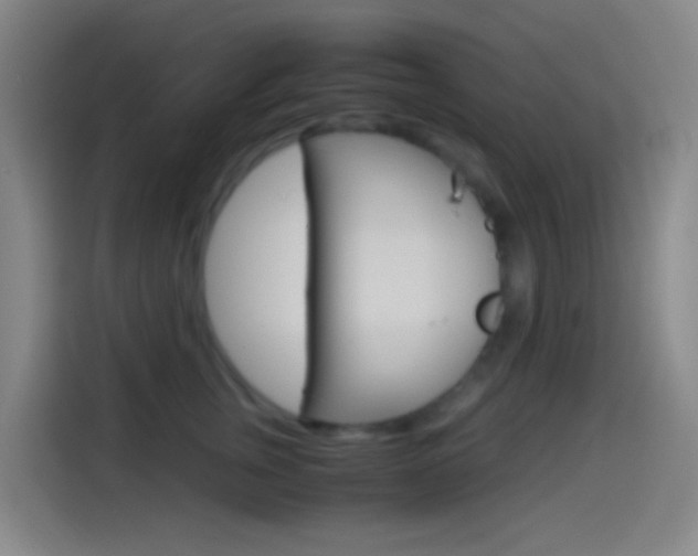 X0000114560759200910191011