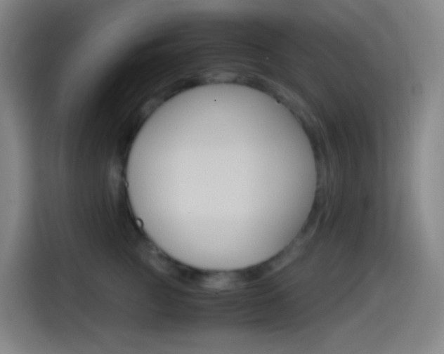 X0000114560761200910191011