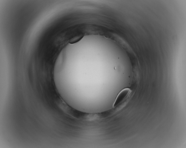 X0000114560762200910191011