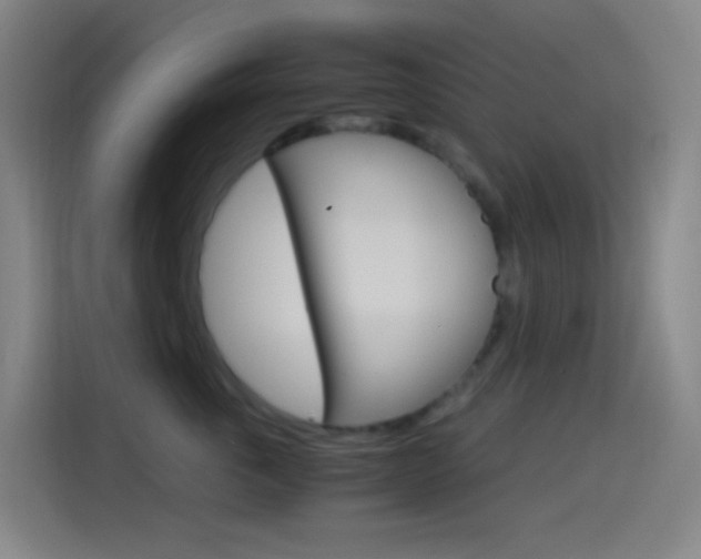 X0000114560763200910191011