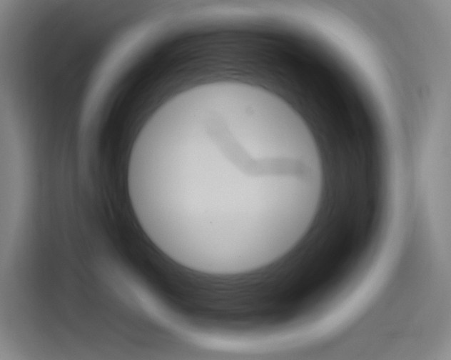 X0000114560766200910191011
