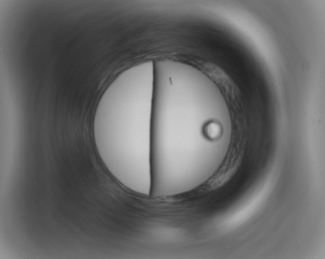 X0000114560767200910191011