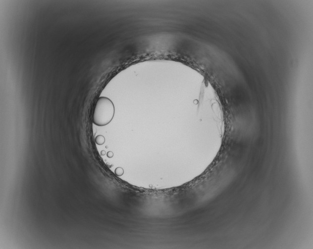 X0000114560769200910191010