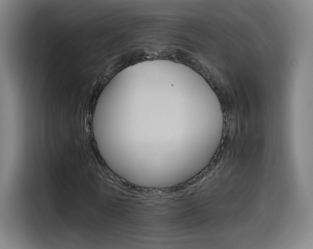 X0000114560770200910191010