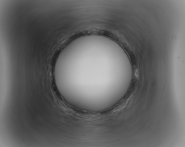 X0000114560771200910191010