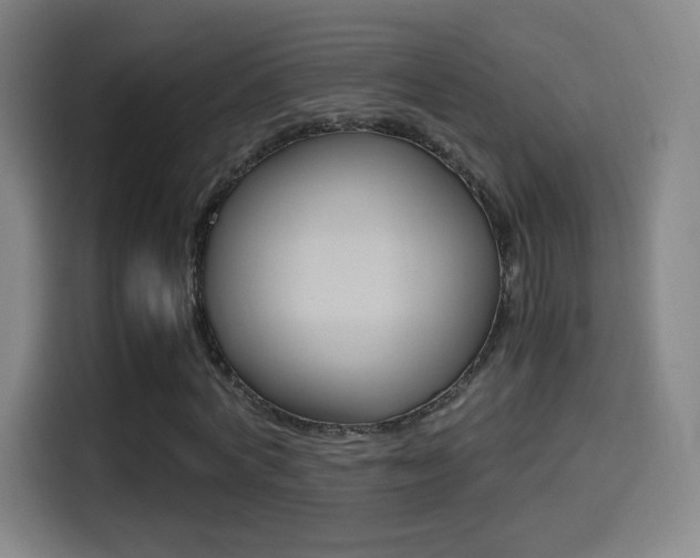 X0000114560772200910191010