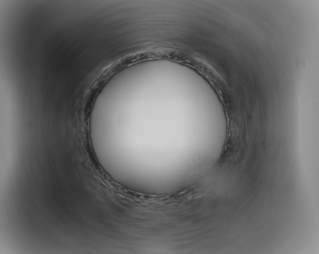 X0000114560773200910191010