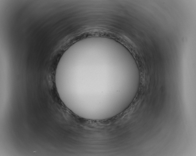 X0000114560774200910191010
