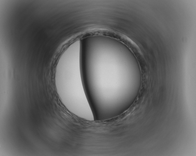 X0000114560775200910191010