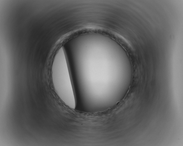 X0000114560776200910191010