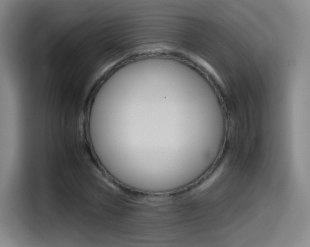 X0000114560778200910191010