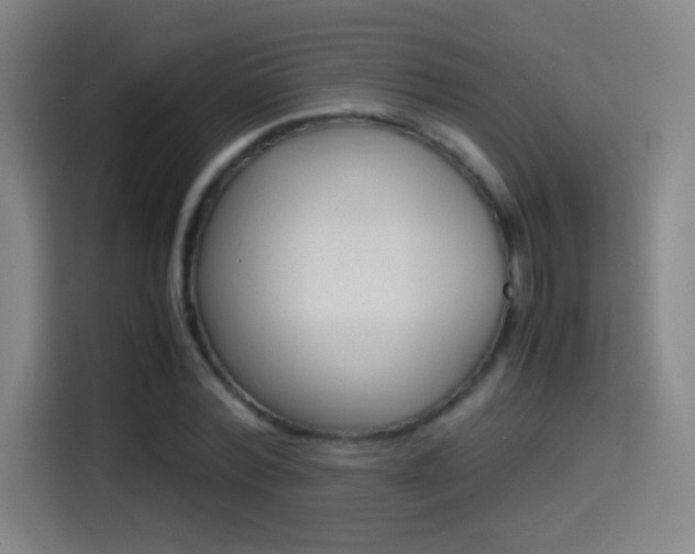 X0000114560780200910191010