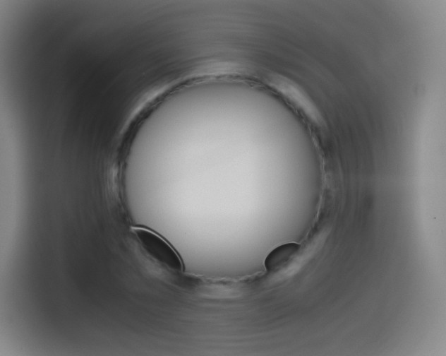 X0000114560781200910191010