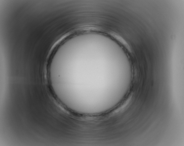 X0000114560782200910191010
