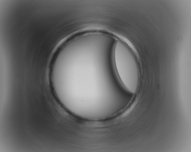 X0000114560783200910191010