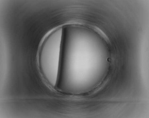X0000114560788200910191010