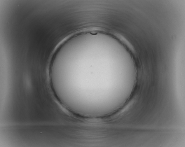 X0000114560789200910191010